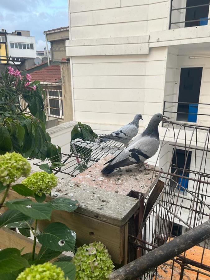 Central Apartment Kadikoy Terrace Bbq Close 2 Block Ferry Bull Metro Nighlife Istanbul Exterior foto