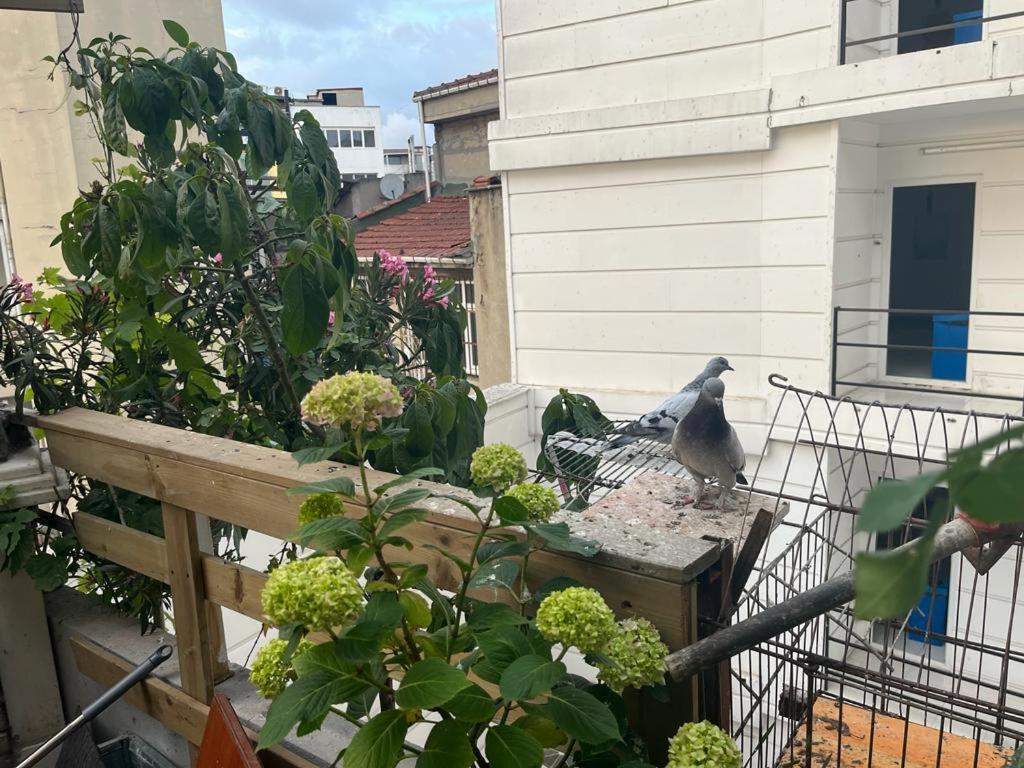 Central Apartment Kadikoy Terrace Bbq Close 2 Block Ferry Bull Metro Nighlife Istanbul Exterior foto