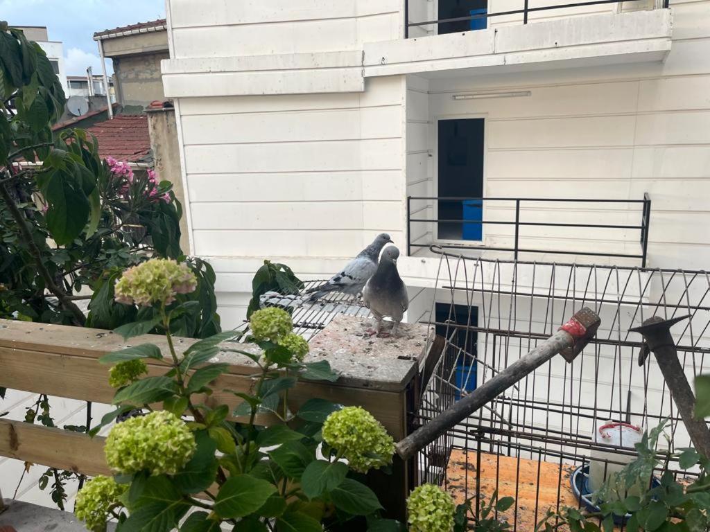 Central Apartment Kadikoy Terrace Bbq Close 2 Block Ferry Bull Metro Nighlife Istanbul Exterior foto